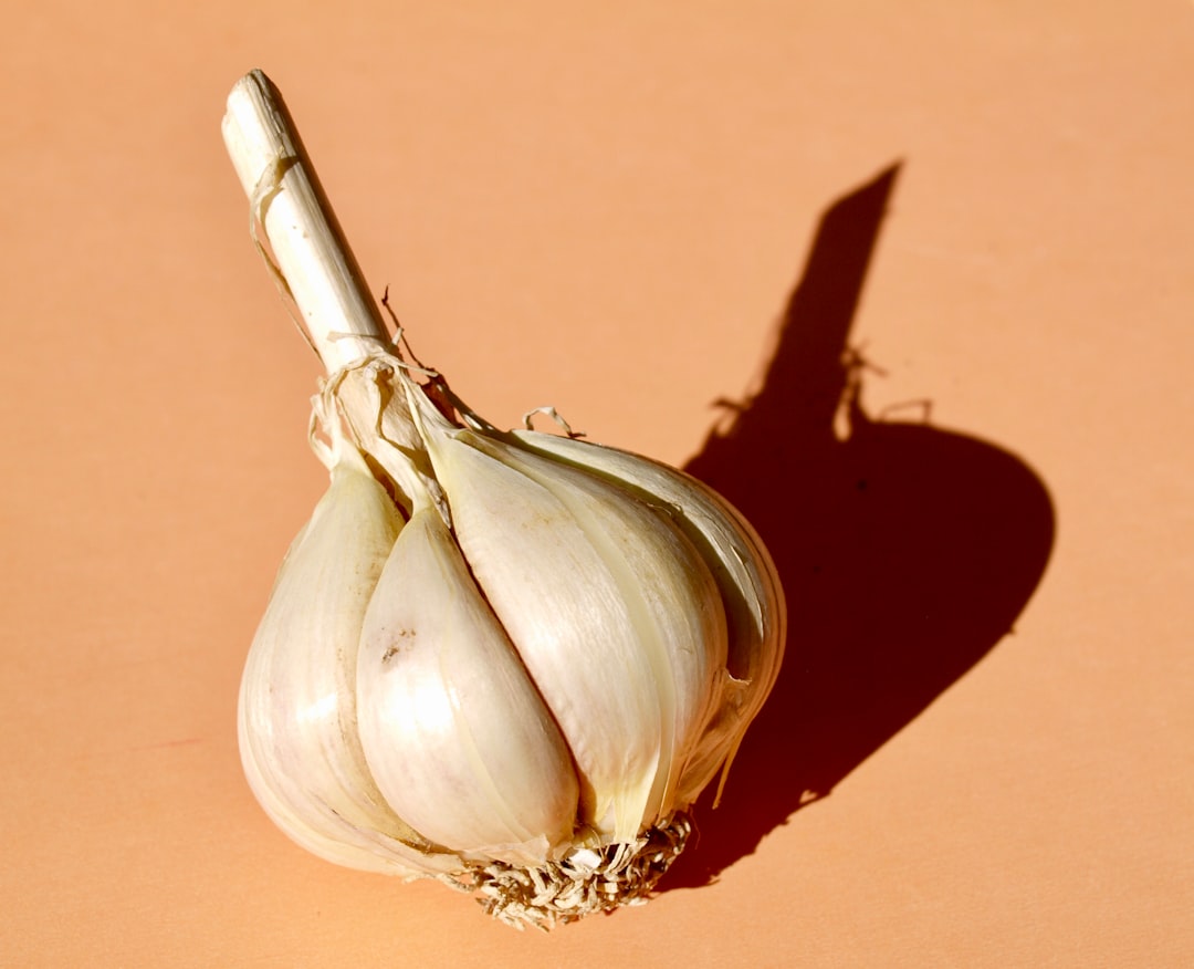 Photo preserving garlic