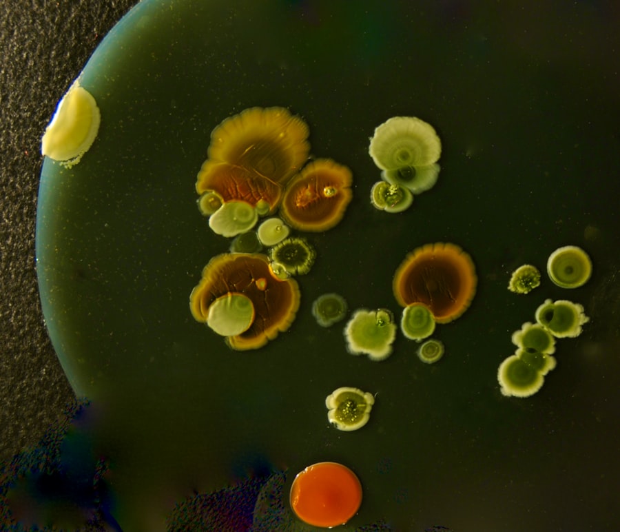 microorganisms