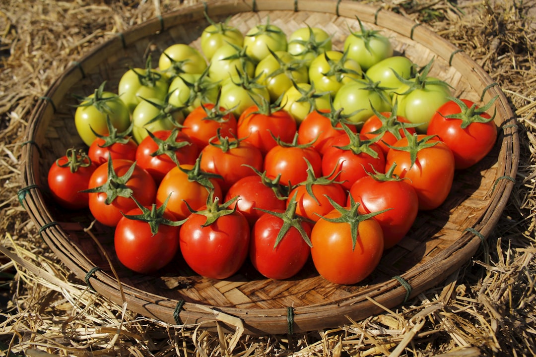 Photo soil management