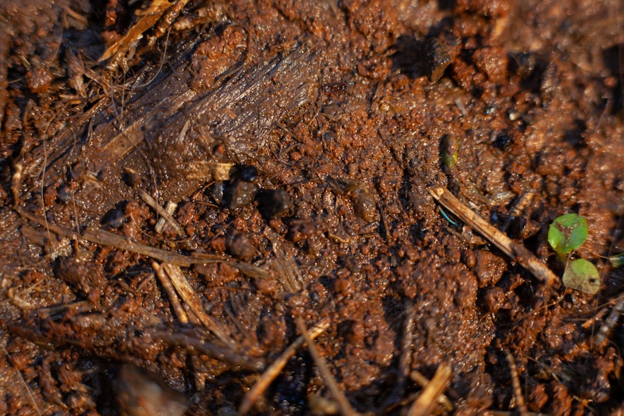 Soil compaction