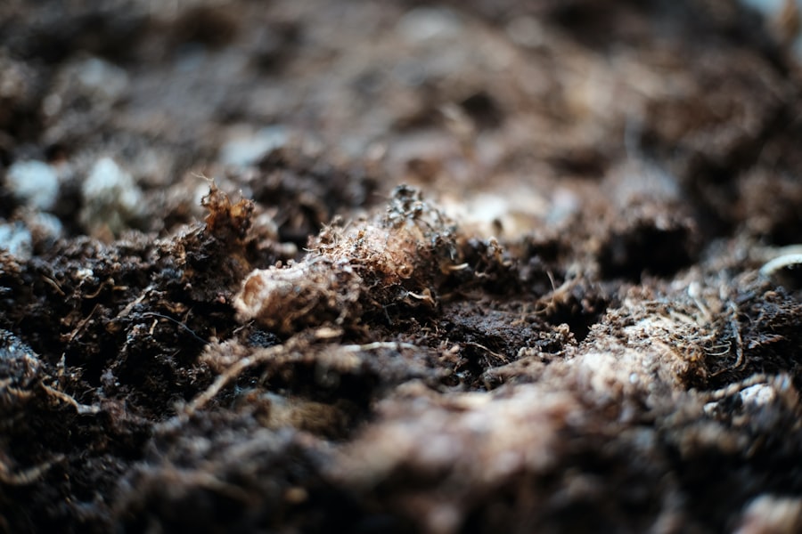 Photo Soil compaction