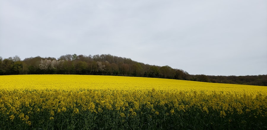 spring farming mistakes