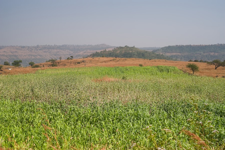 erosion agricultural land long-term