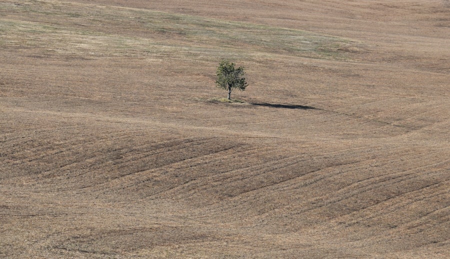 Photo erosion agricultural land long-term