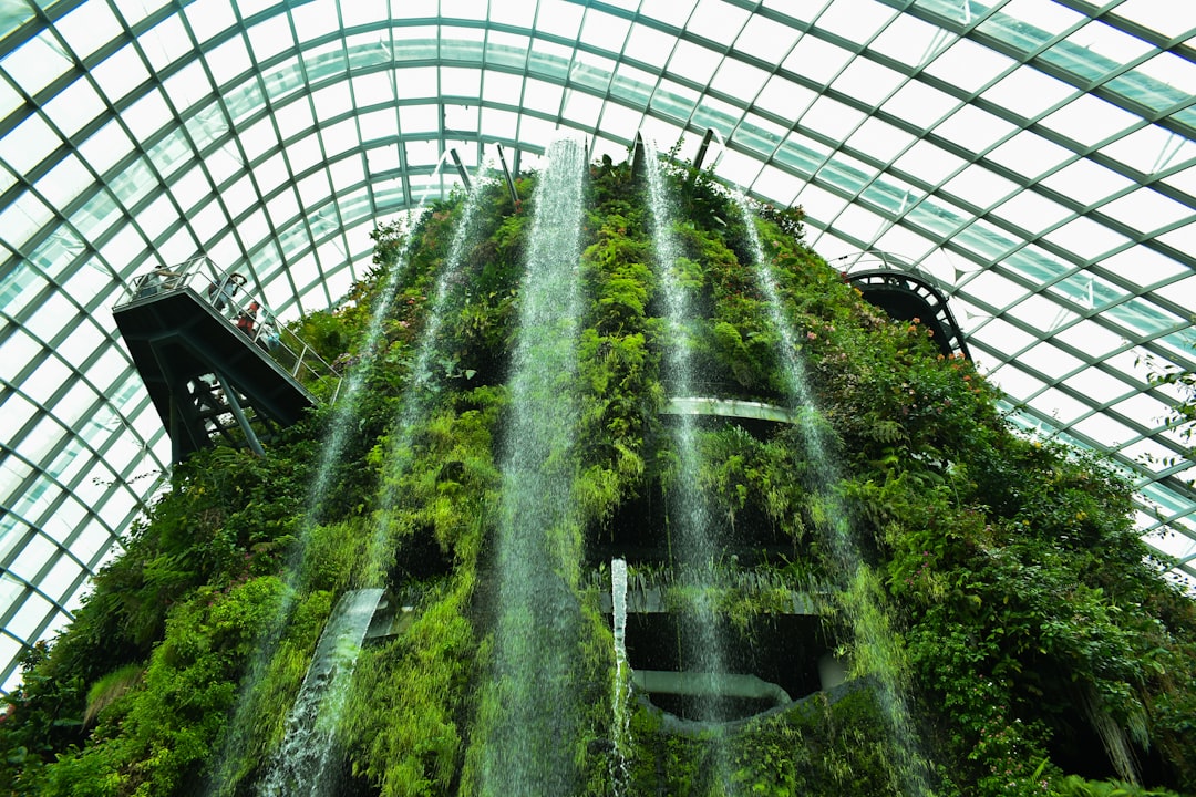 Photo greenhouse systems