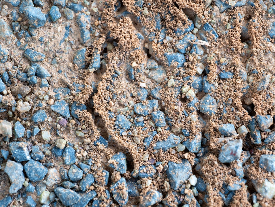 degraded soils