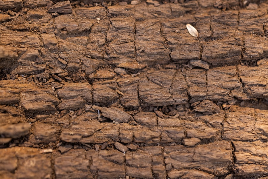 Photo degraded soils