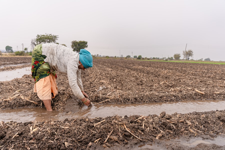 Photo farmers, production, soil