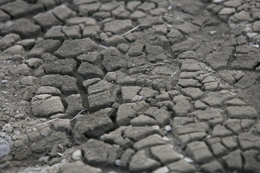 Photo climate change agriculture