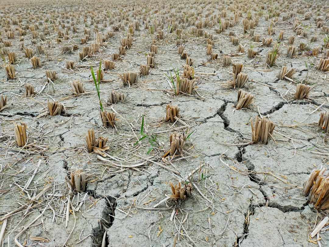 Photo soil degradation