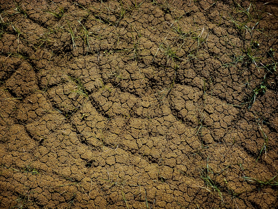 Photo soil degradation