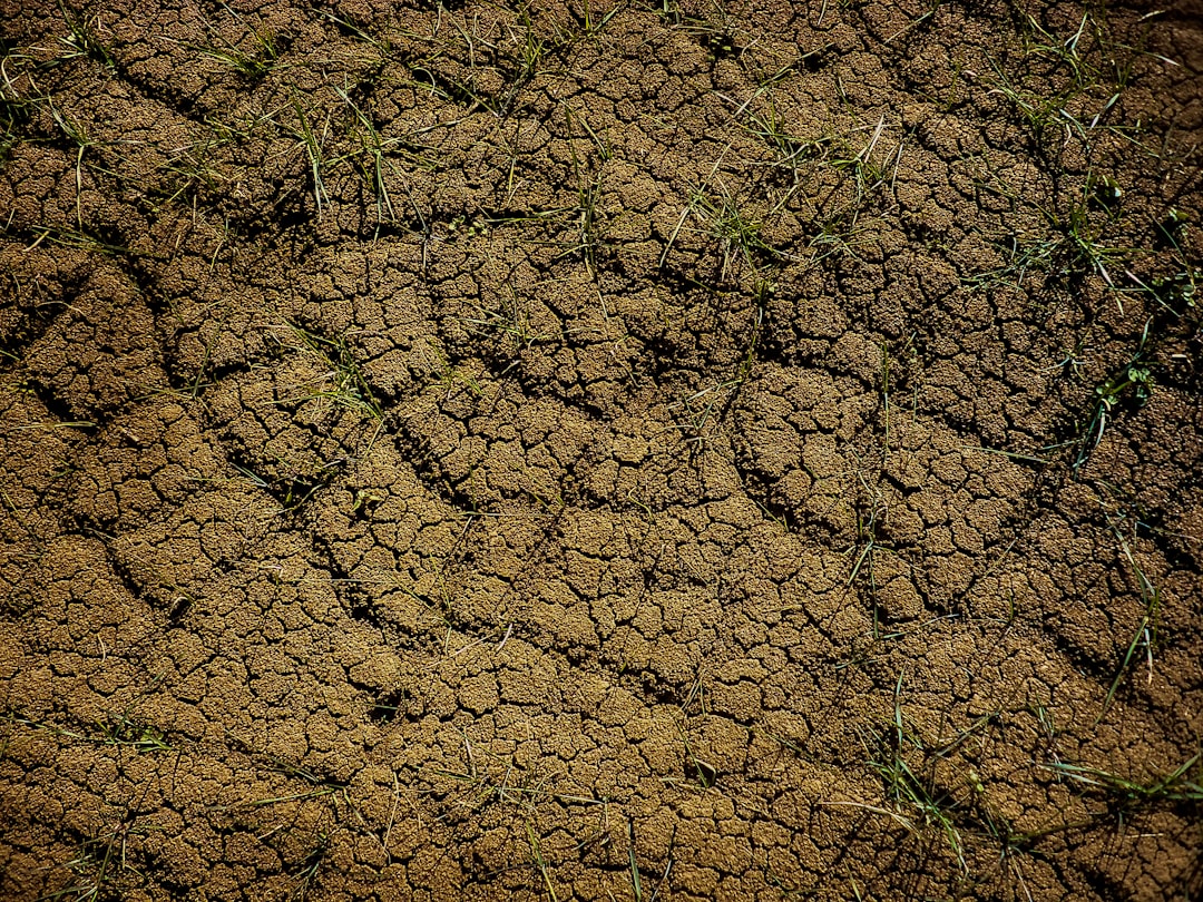 Photo degraded soils