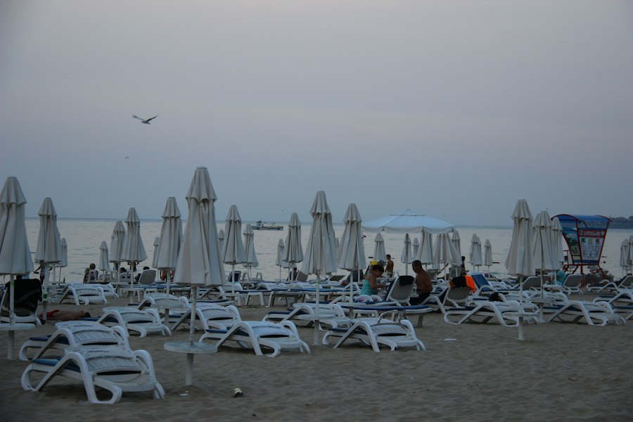 vacanță la fermă