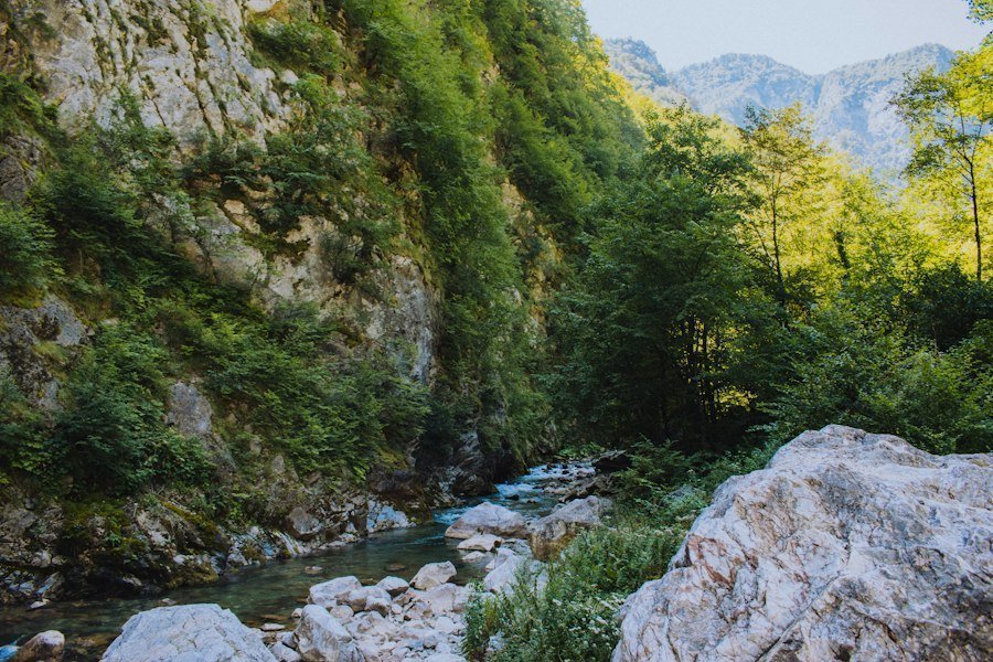 excursie în natură
