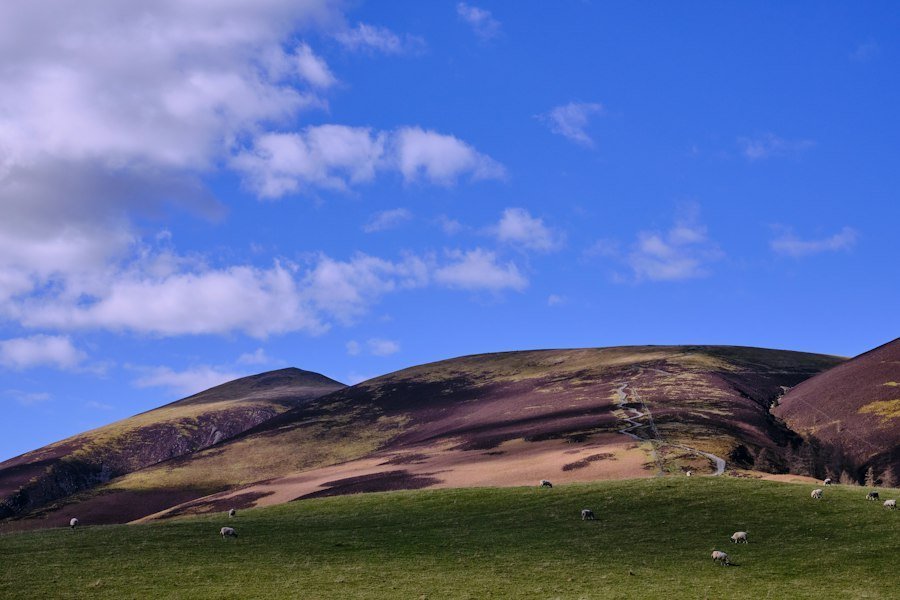 mountain traditional sheepfold