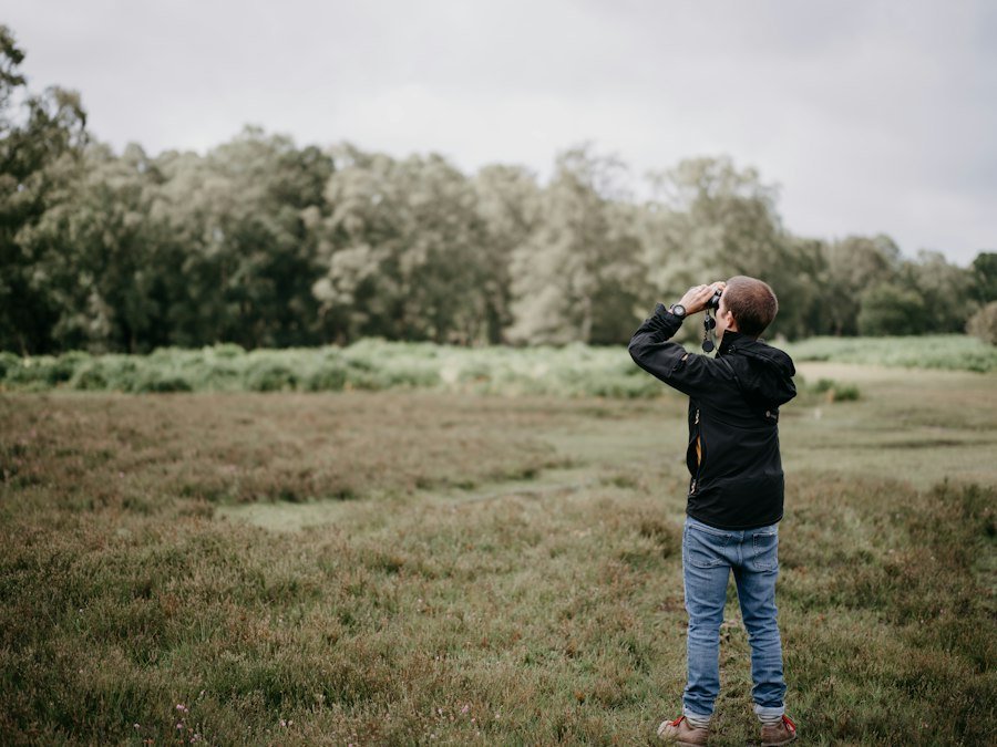 Photo birdwatching