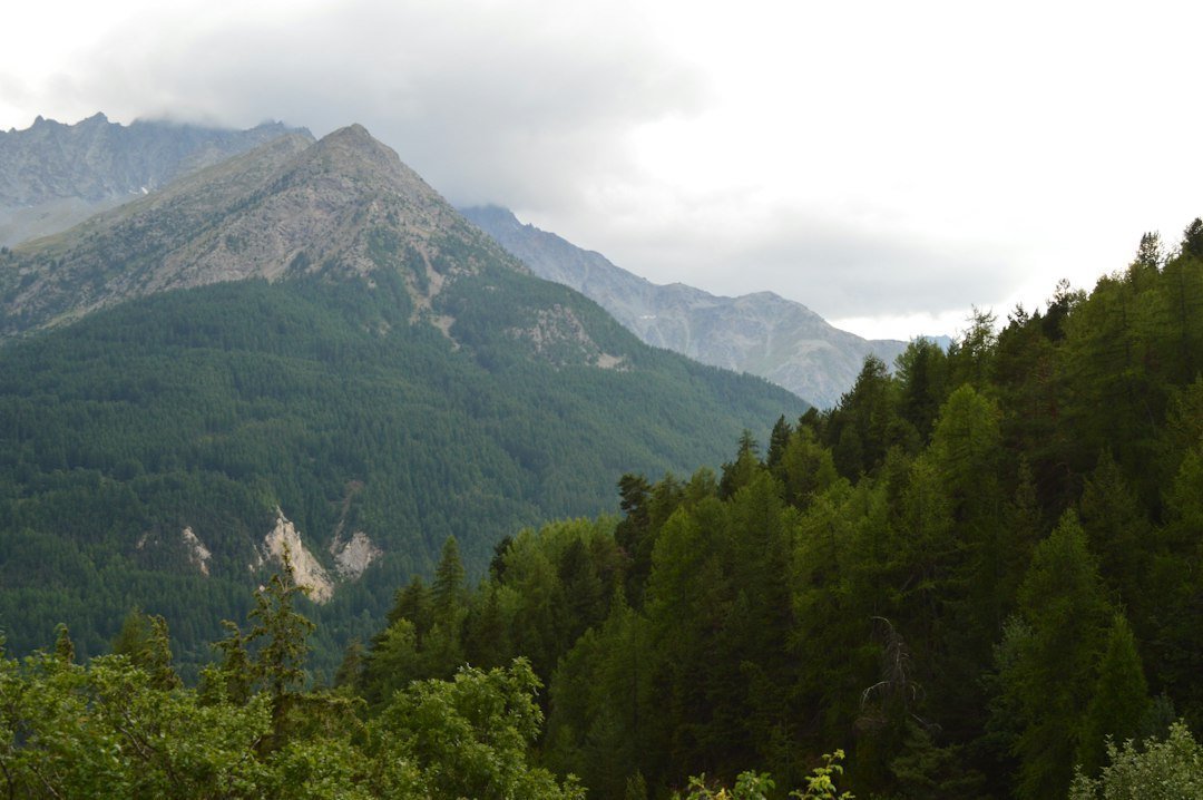 Photo excursie în natură