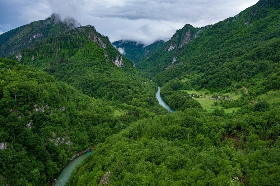 Photo excursie în natură