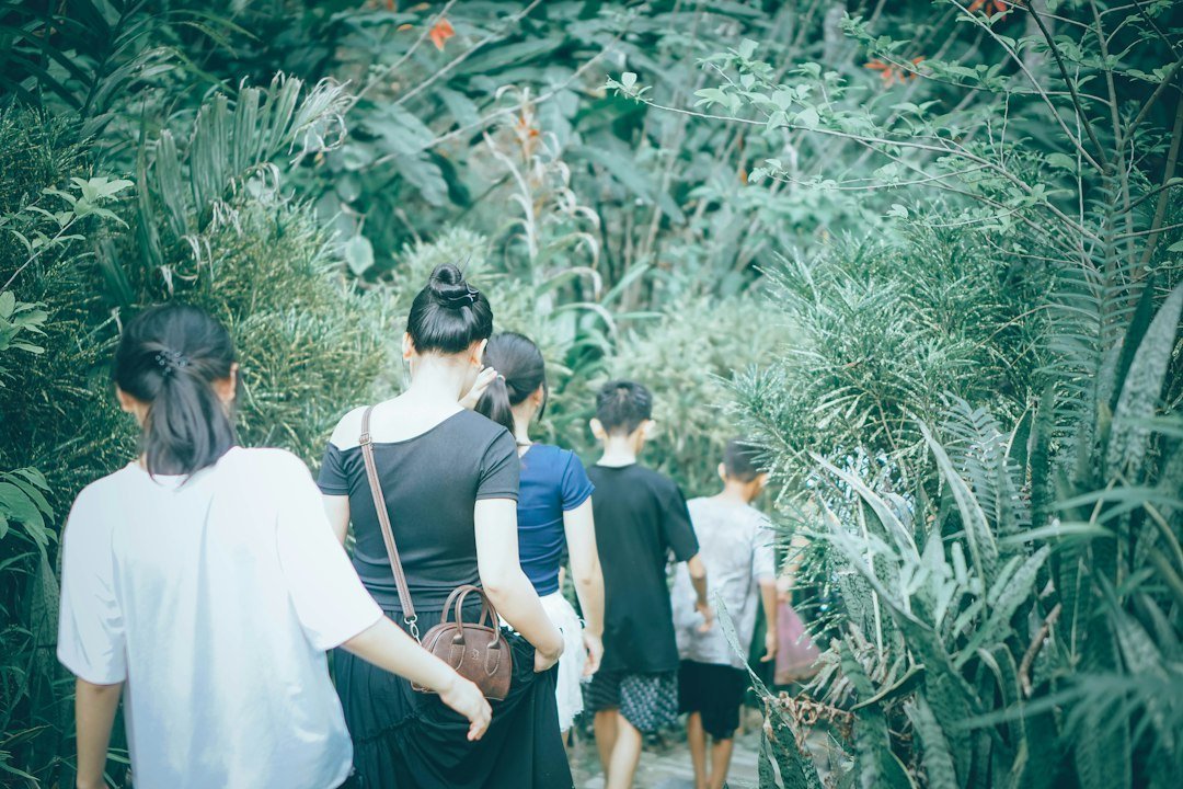 Photo nature activities