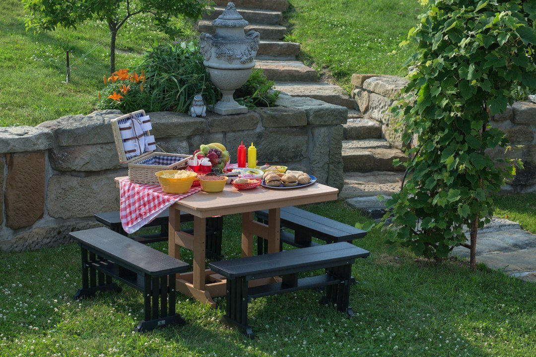 Photo outdoor family party