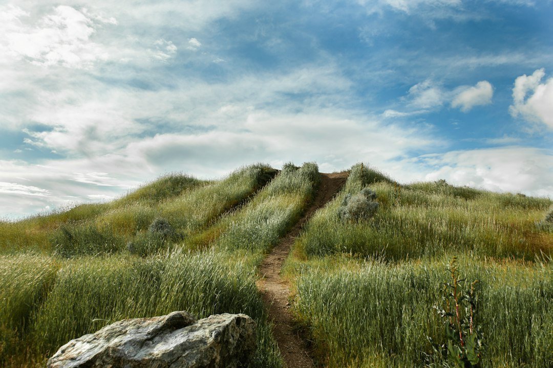 Photo hiking trails