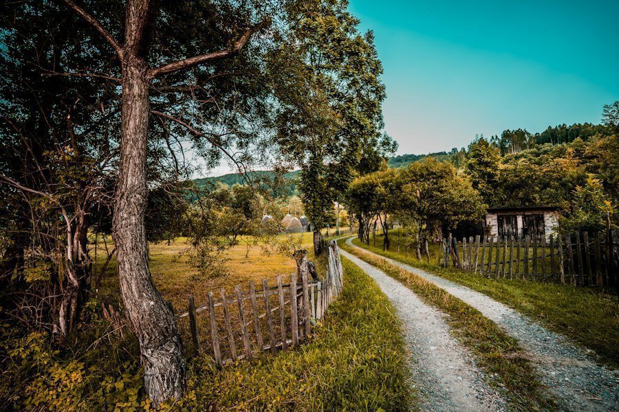 vacanță la țară