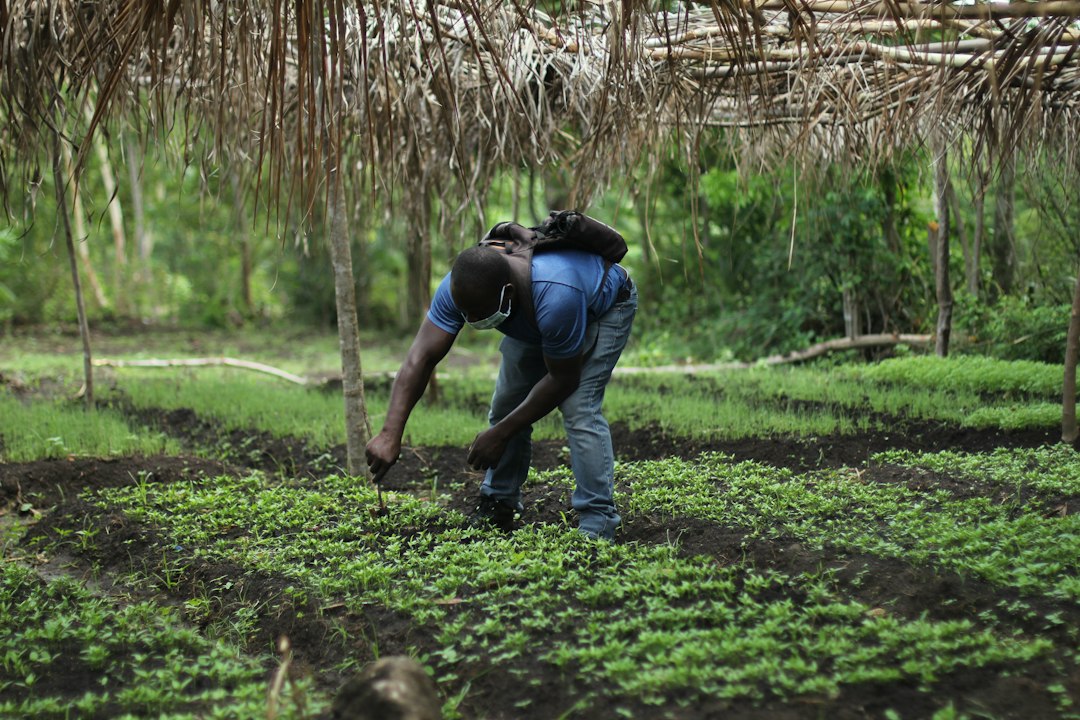 Photo small scale farming techniques