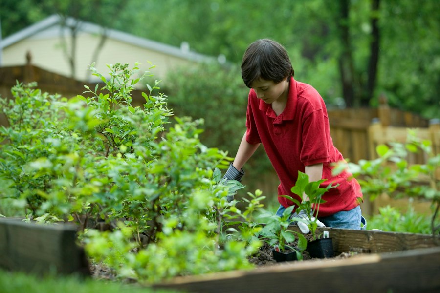 home vegetable gardening research-based tips
