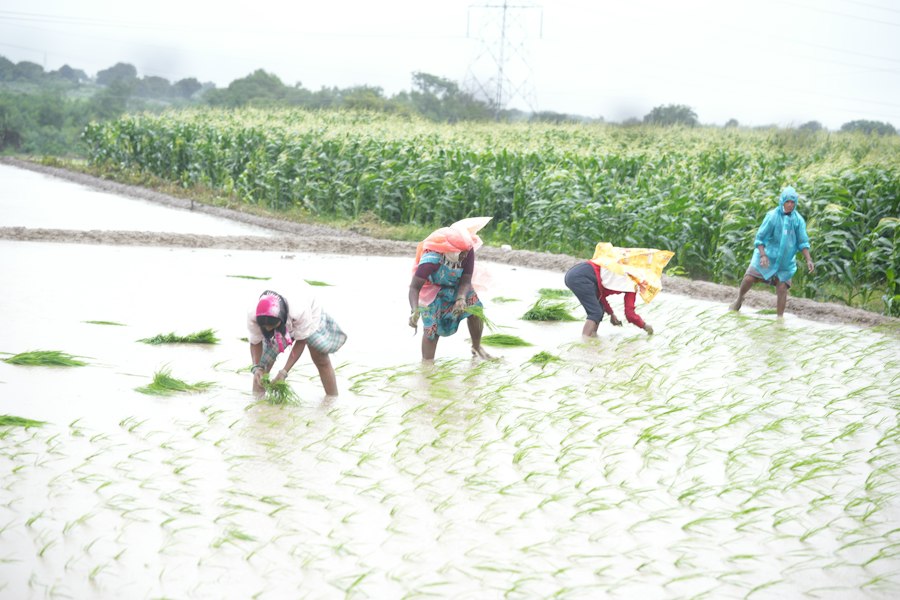 Photo small scale farming techniques