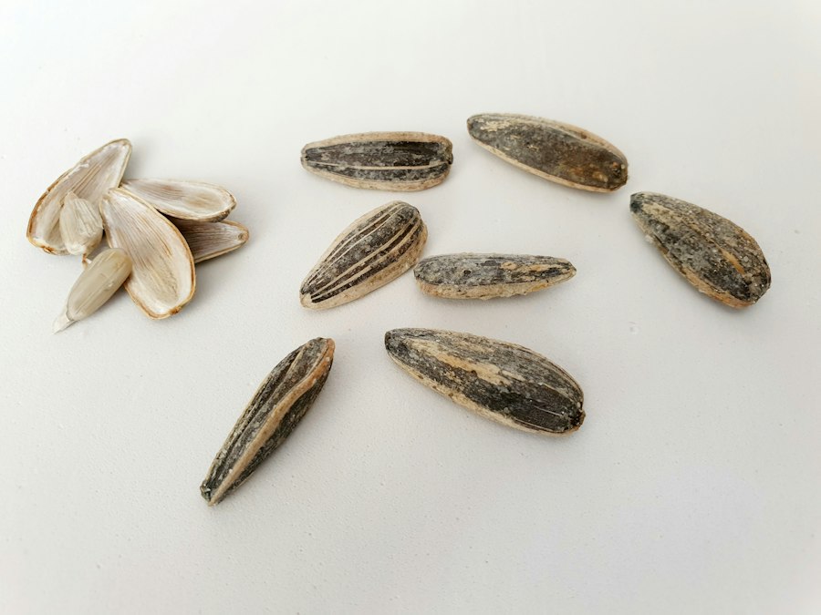 choosing seeds guide