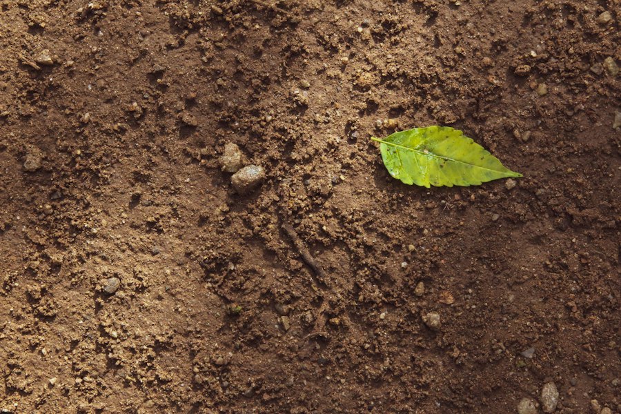 natural soil fertilization techniques