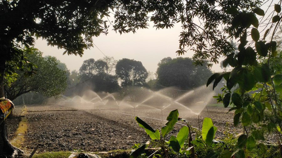 Photo efficient crop irrigation techniques