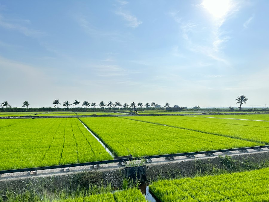 efficient crop irrigation techniques