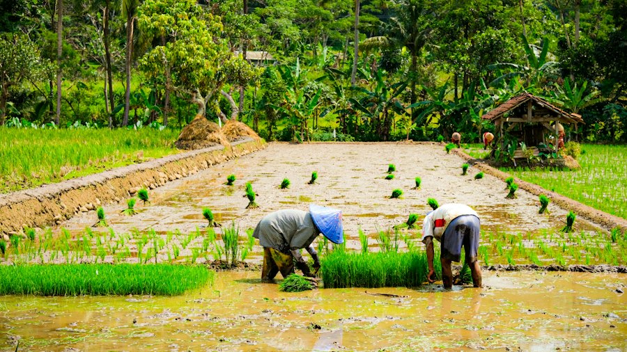 small scale farming techniques