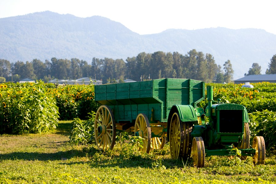 Photo agricultural work calendar