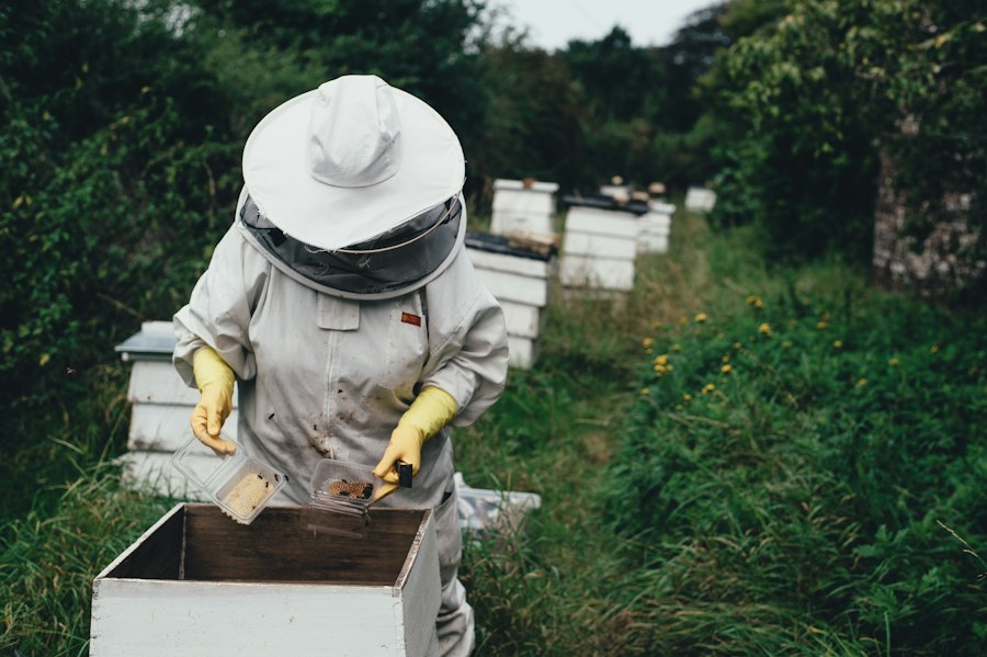 Photo beekeeping for beginners guide