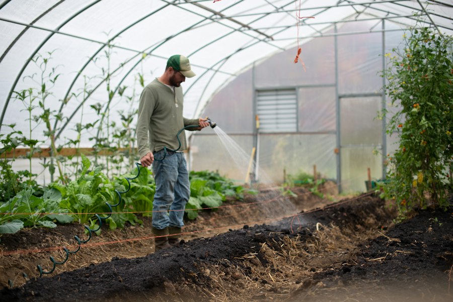 Photo organic farming agriculture