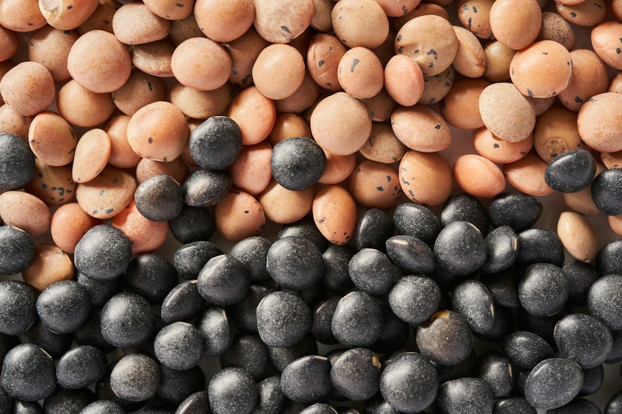 common seed selection mistakes