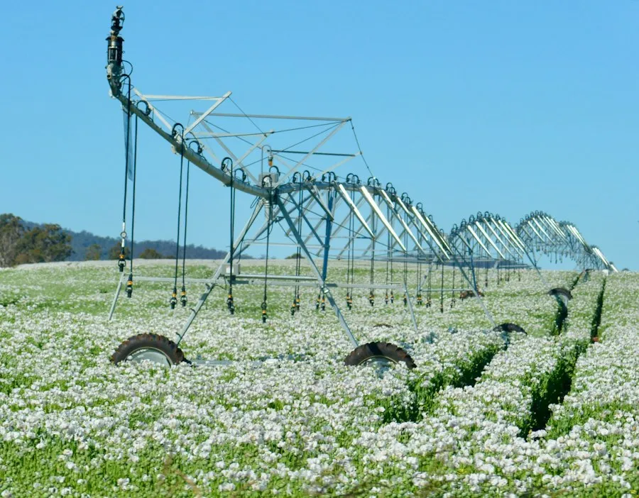 efficient crop irrigation mistakes
