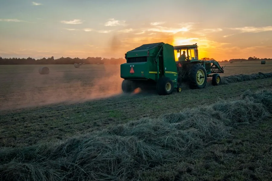 Photo common agricultural work calendar mistakes