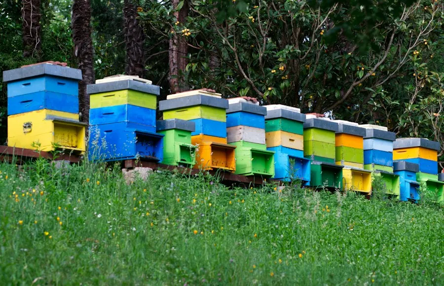 Photo beekeeping beginner mistakes