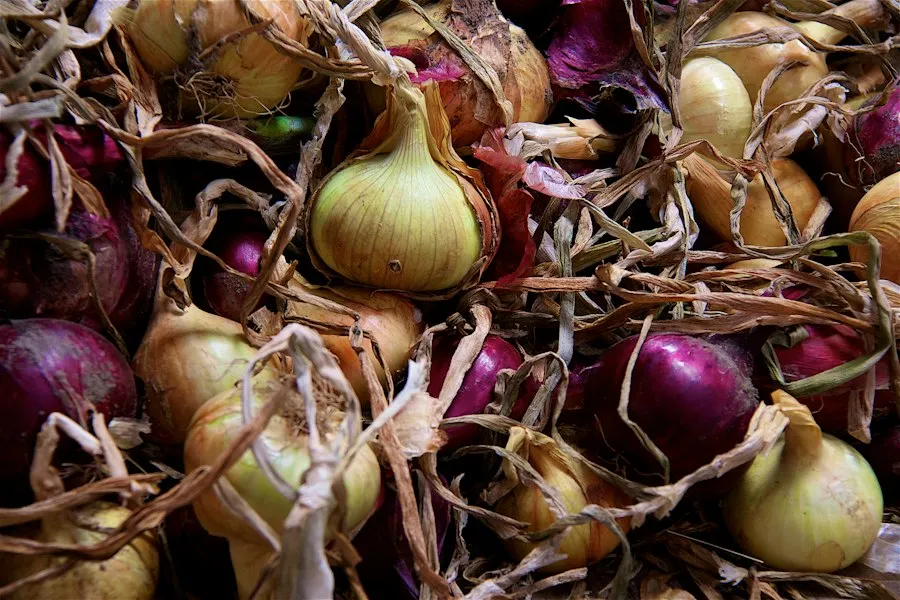 common harvest preservation mistakes