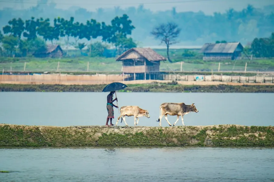 common mistakes rural life